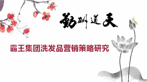 霸王集团洗发品营销策略研究