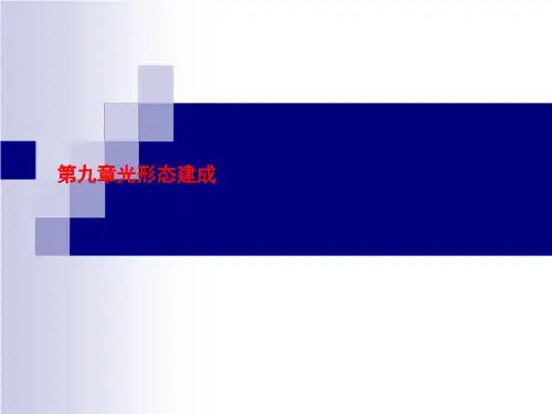 第九章光形态建成