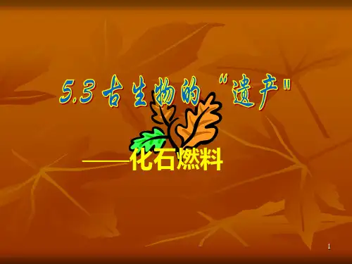 54古生物的“遗产”―化石燃料2PPT课件