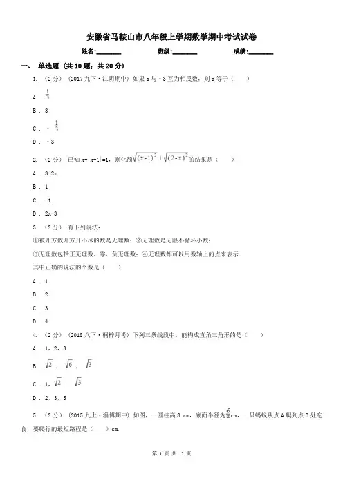 安徽省马鞍山市八年级上学期数学期中考试试卷