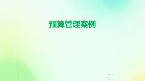 《预算管理案例》课件