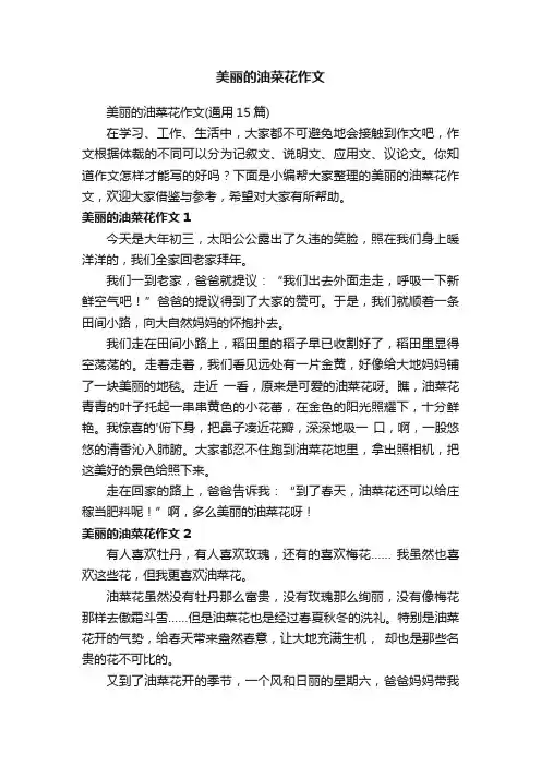 美丽的油菜花作文（通用15篇）