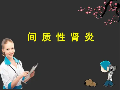 间质性肾炎ppt课件