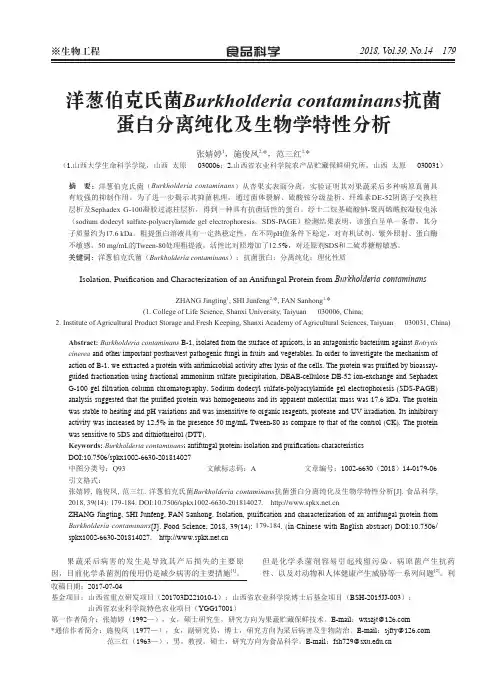 洋葱伯克氏菌Burkholderia contaminans抗菌蛋白分离纯化及生物学特性分析
