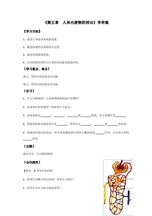 生物人教版七年级下册《人体内废物的排出》导学案