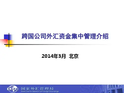 外管局叶海生处长