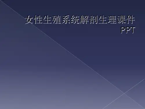 女性生殖系统解剖生理课件PPT