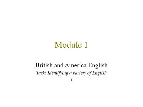 高中英语必修5Module 1 British and American English(ppt)