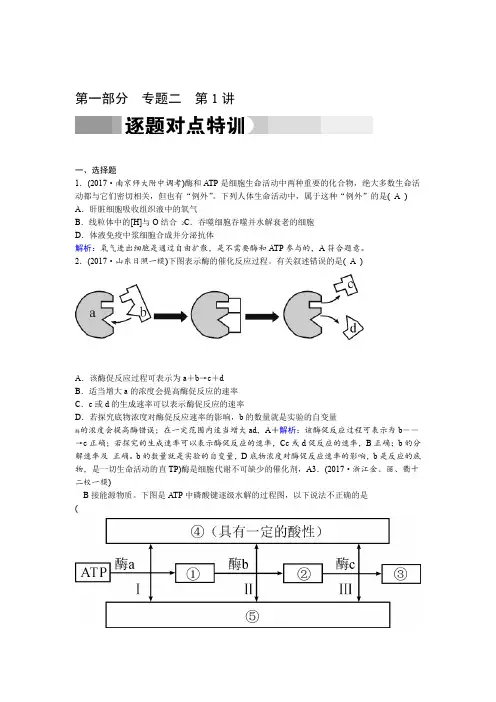 通用版2020高考生物二轮特训专题2第1讲 酶与ATP含答案