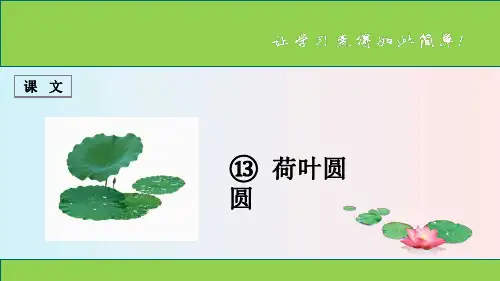 人教版一年级语文下册 课文 第13课 《荷叶圆圆》
