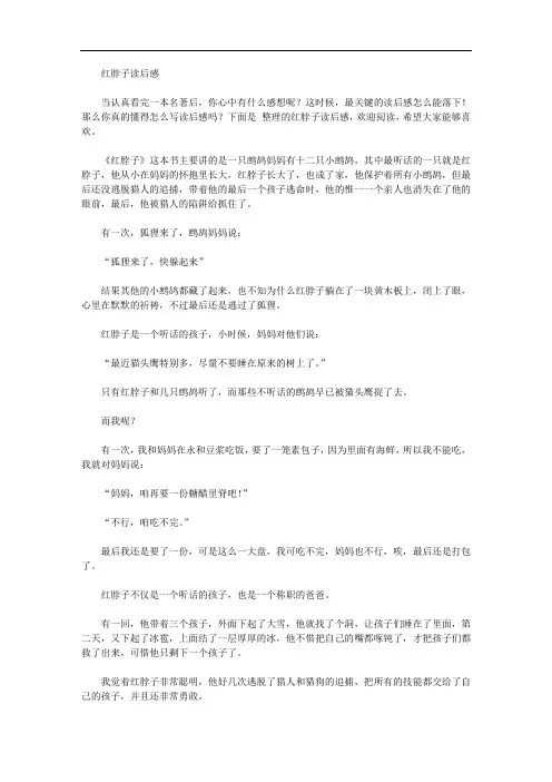 红脖子读后感【精品】