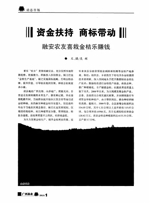 资金扶持 商标带动——融安农友喜栽金桔乐赚钱