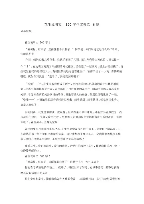 花生说明文500字作文范例6篇