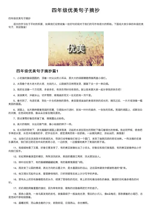 四年级优美句子摘抄
