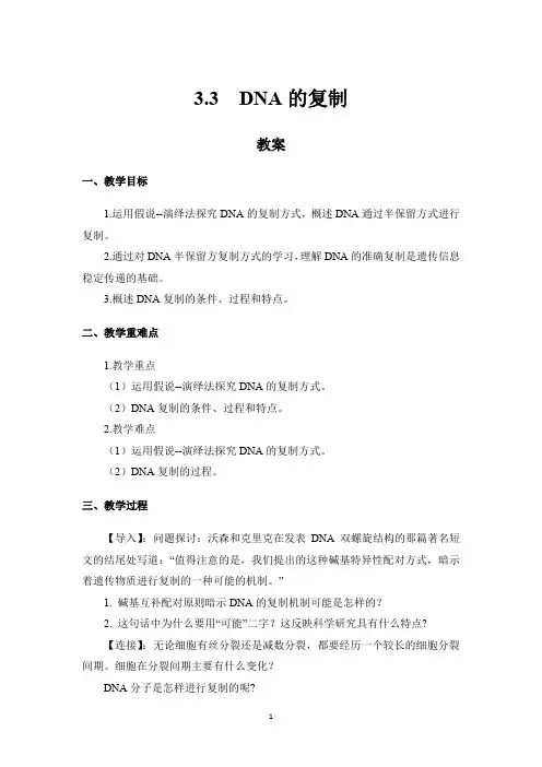 3.3 DNA的复制 教案【新教材】2020-2021学年高一生物人教版(2019)必修二