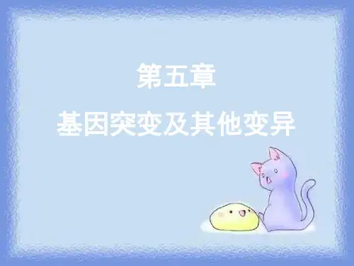 2023人教版必修二第1节《基因突变和基因重组》ppt