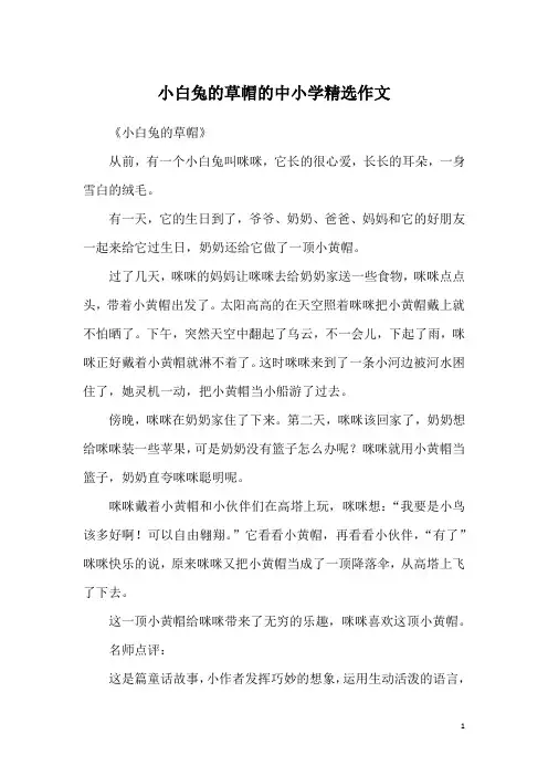 小白兔的草帽的中小学精选作文