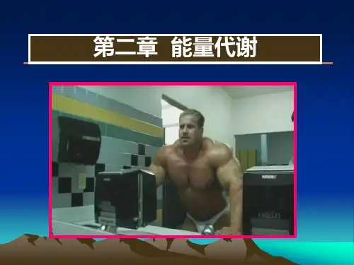 第二章能量代谢