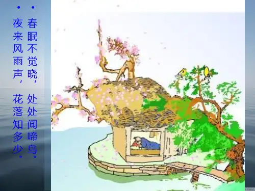 寂静的春天ppt
