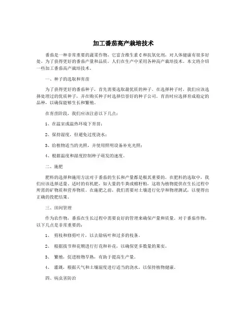 加工番茄高产栽培技术