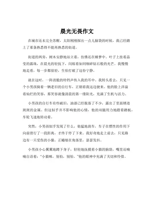 晨光无畏作文