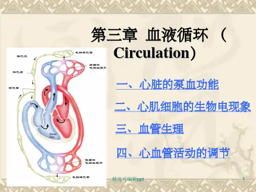 心血管活动的调节.22ppt