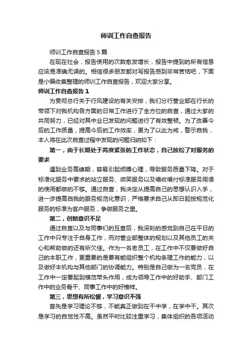 师训工作自查报告