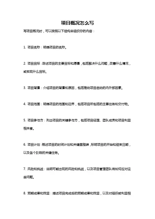 项目概况怎么写