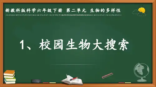 2024新教科版科学六年级下册第二单元 生物的多样性《校园生物大搜索》优质课件