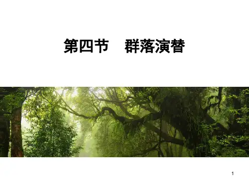 人教版生物必修三4.4《群落的演替》授课同步课件(共25张PPT)