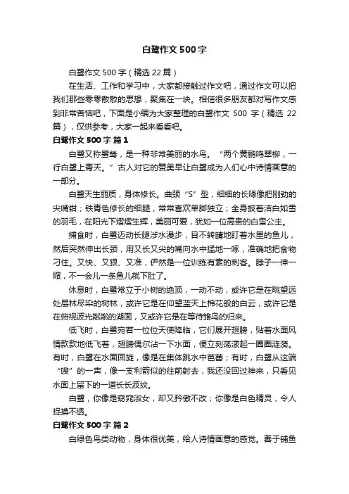 白鹭作文500字（精选22篇）
