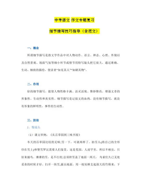 中考语文作文专题复习：细节描写技巧指导