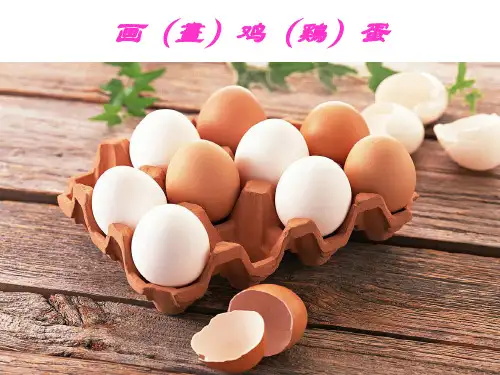 小学三年级课文《画鸡蛋》课件