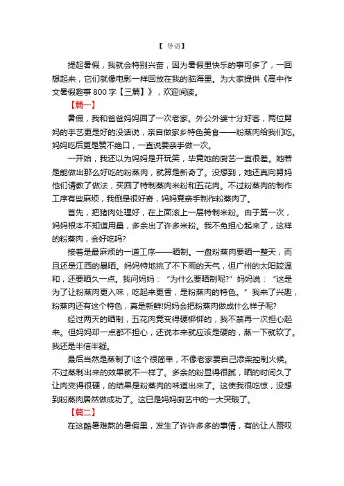 高中作文暑假趣事800字【三篇】
