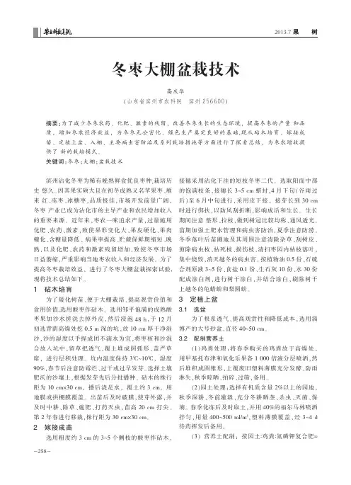 冬枣大棚盆栽技术