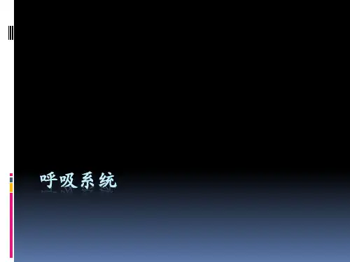 肺与纵隔正常及病变X线PPT