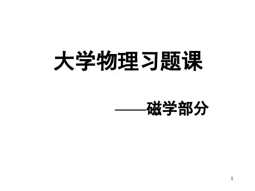 磁学习题课-骆素华