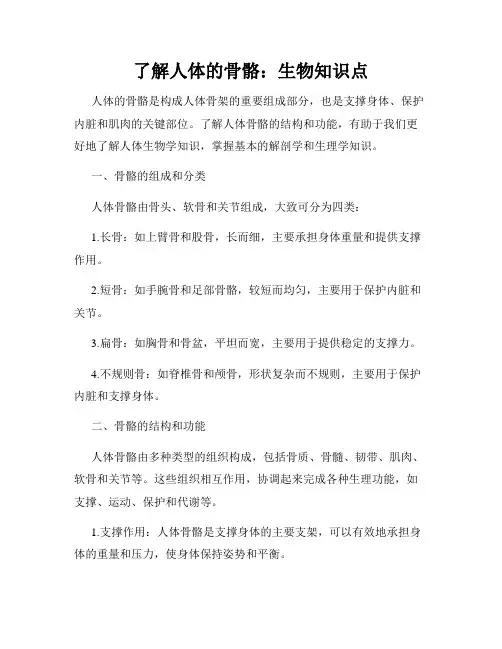 了解人体的骨骼：生物知识点