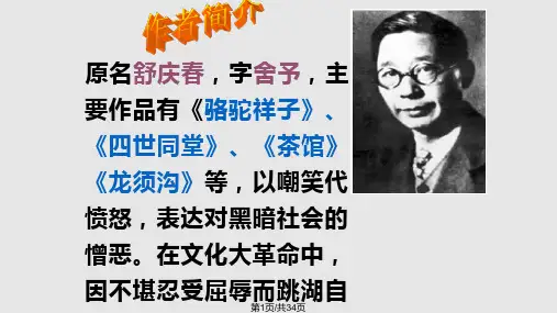 《在烈日和暴雨下PPT教学课件