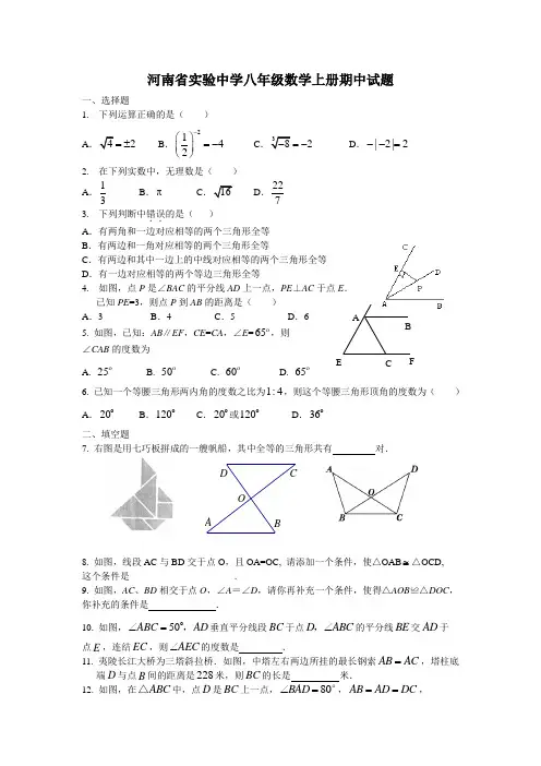 河南省实验中学八年级数学上册期中试题