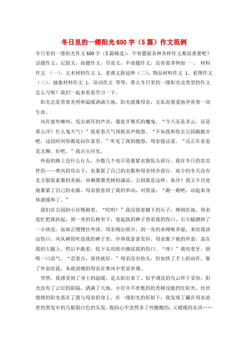 冬日里的一缕阳光600字(5篇)作文范例