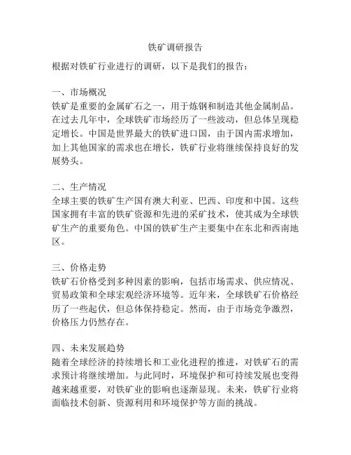 铁矿调研报告