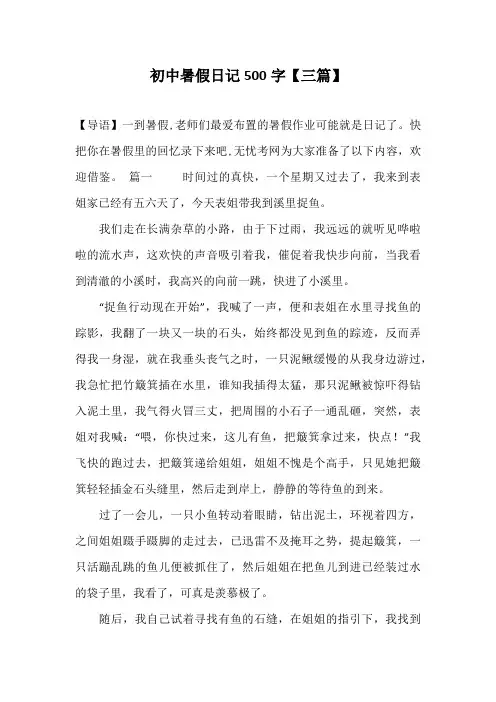 初中暑假日记500字【三篇】