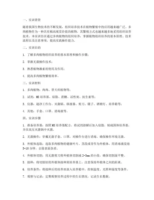 多肉组培实训报告