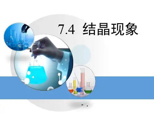 《结晶现象》溶液PPT课件2