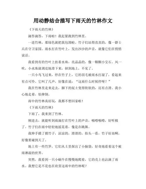 用动静结合描写下雨天的竹林作文