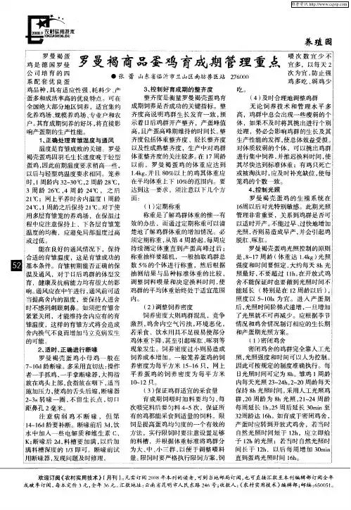 罗曼褐商品蛋鸡育成期管理重点