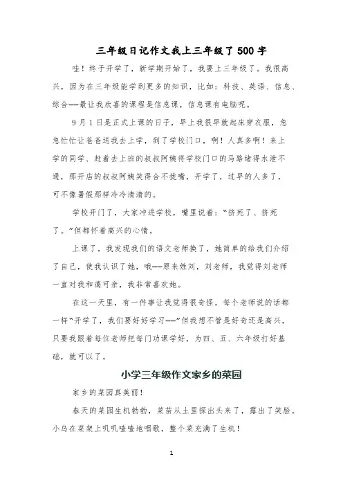 三年级日记作文我上三年级了500字
