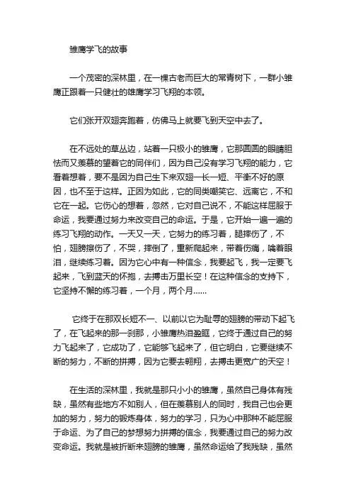 绘本故事-雏鹰学飞的故事