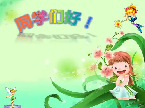 《对称》PPT课件-人教版小学数学二年级下册